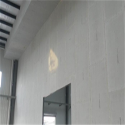 孙红雷宁波ALC板|EPS加气板隔墙与混凝土整浇联接的实验研讨